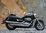   Suzuki Intruder Volusia VL 800 C50 C50T M50